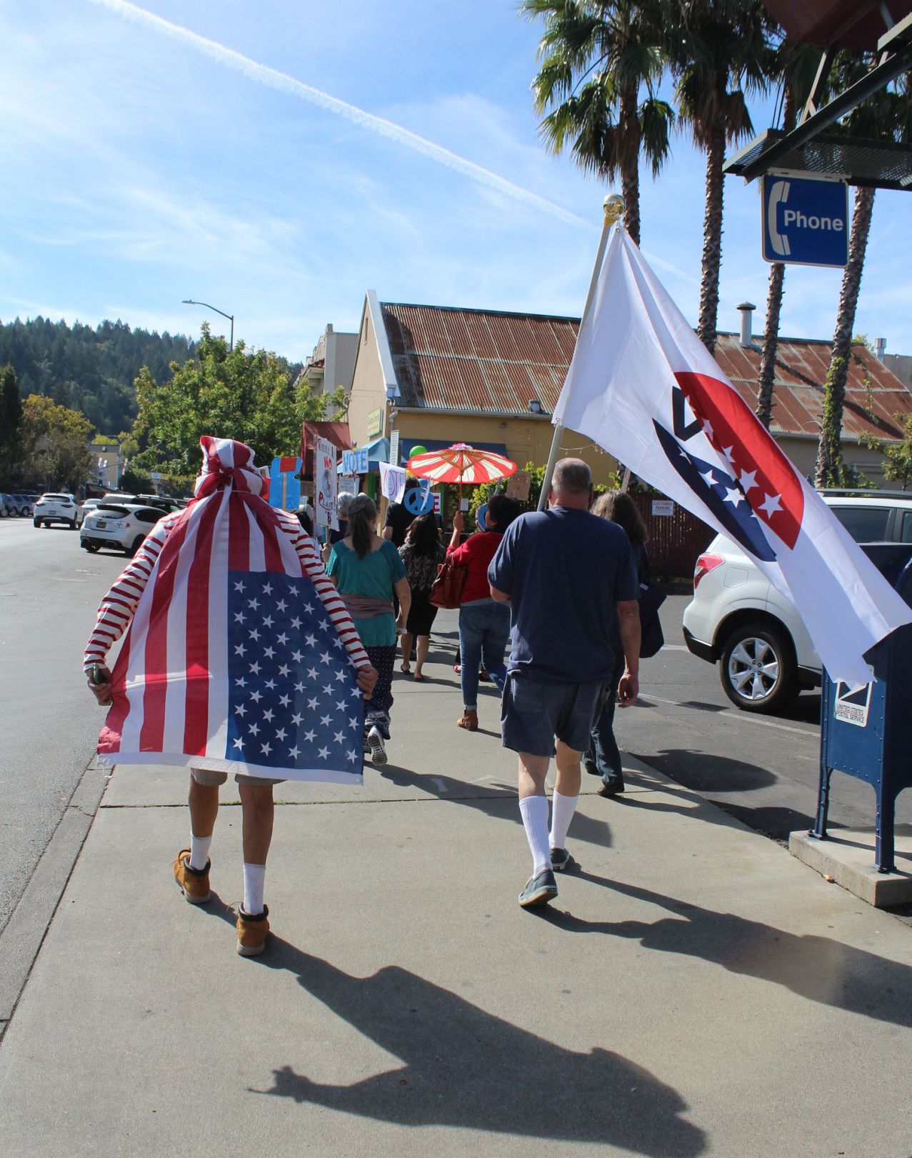 Walk for democracy